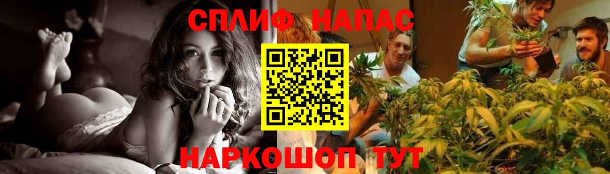 Бошки Шишки OG Kush Строитель